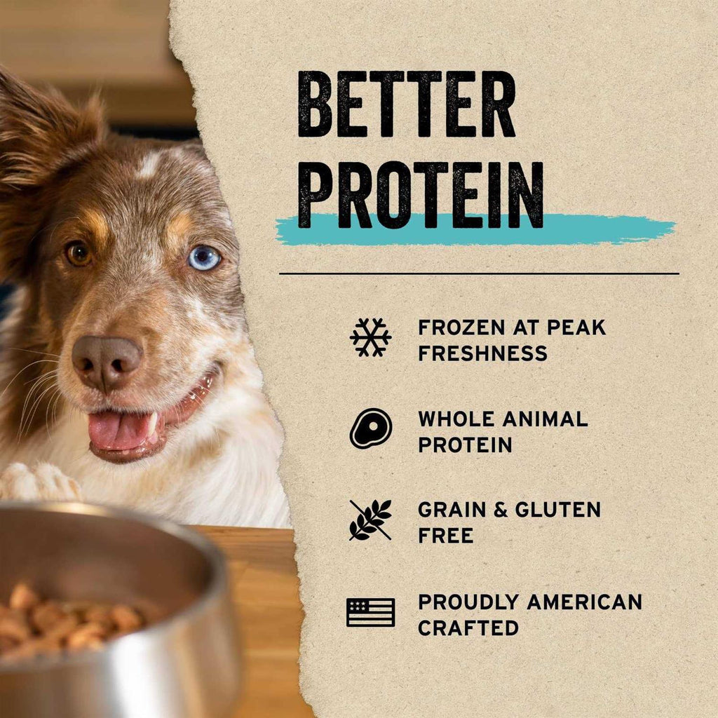 Freeze Dried Beef Bites Dog Treats J738198