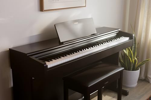 88-Key Weighted Action Digital Piano, Dark Rosewood L319