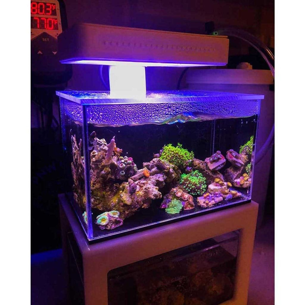 40oz Desktop Aquarium A806372