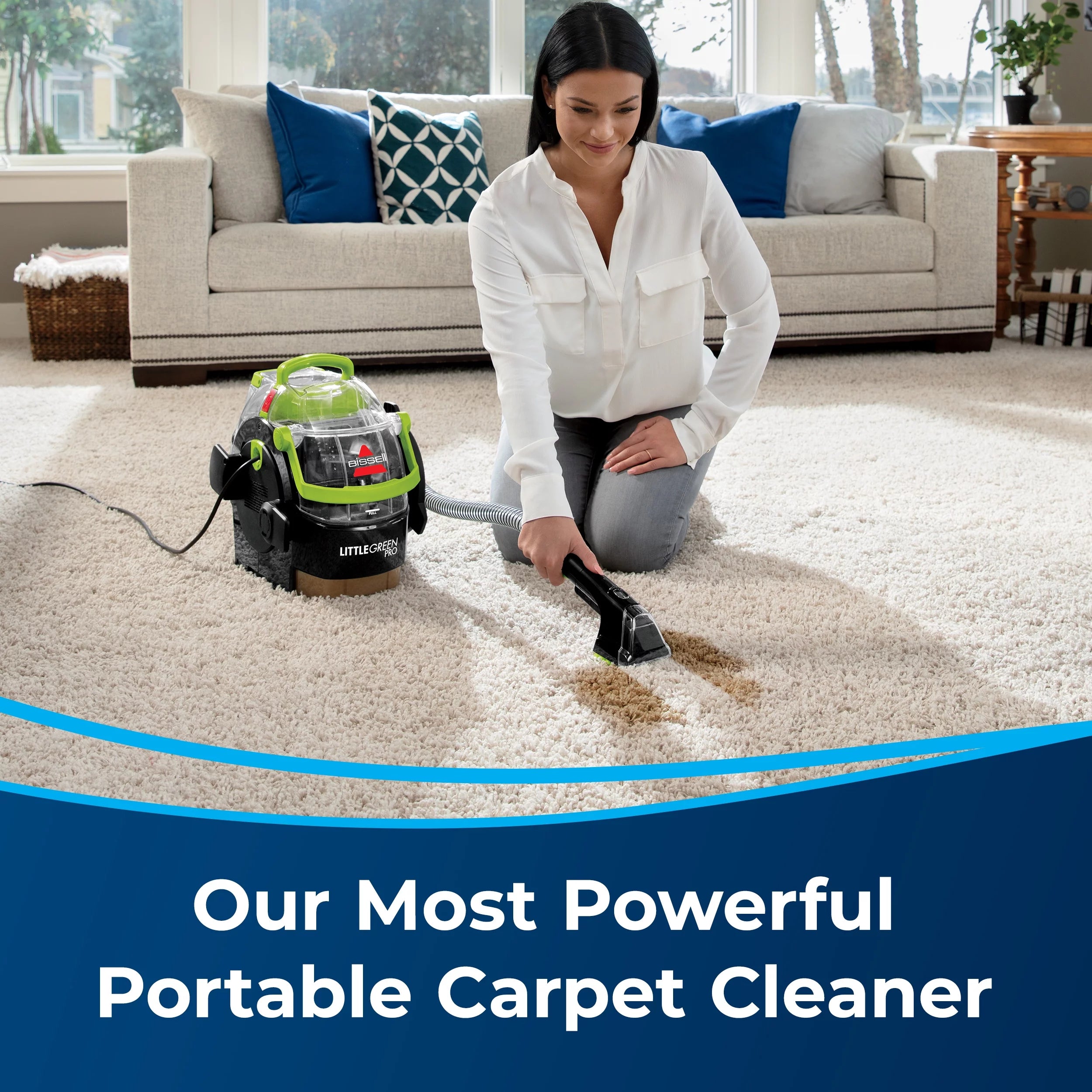 Portable Carpet Cleaner N623264