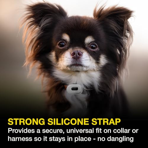 Rechargeable LED Dog Collar Light - Waterproof Silicone Safety Light S3337