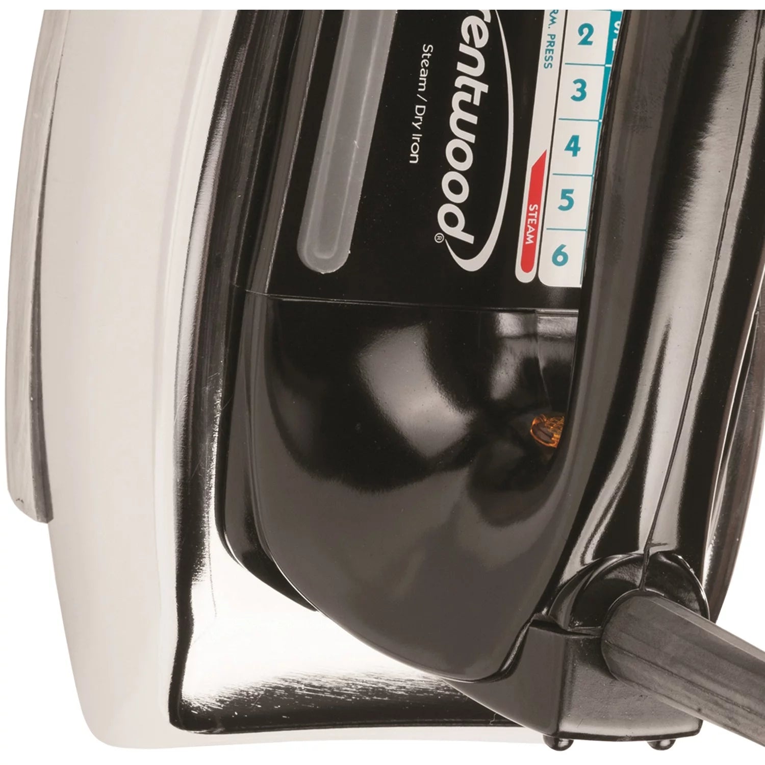 Steam and Spray Iron Z259059