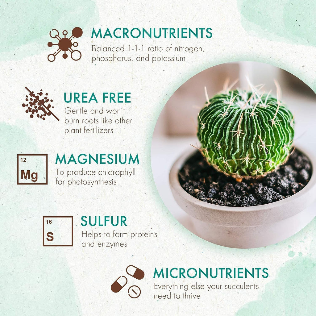 Succulent & Cactus Plant Food Slow Release Fertilizer (5 oz) O509