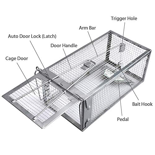 Humane Live Chipmunk Rat Mouse Cage Trap M81903