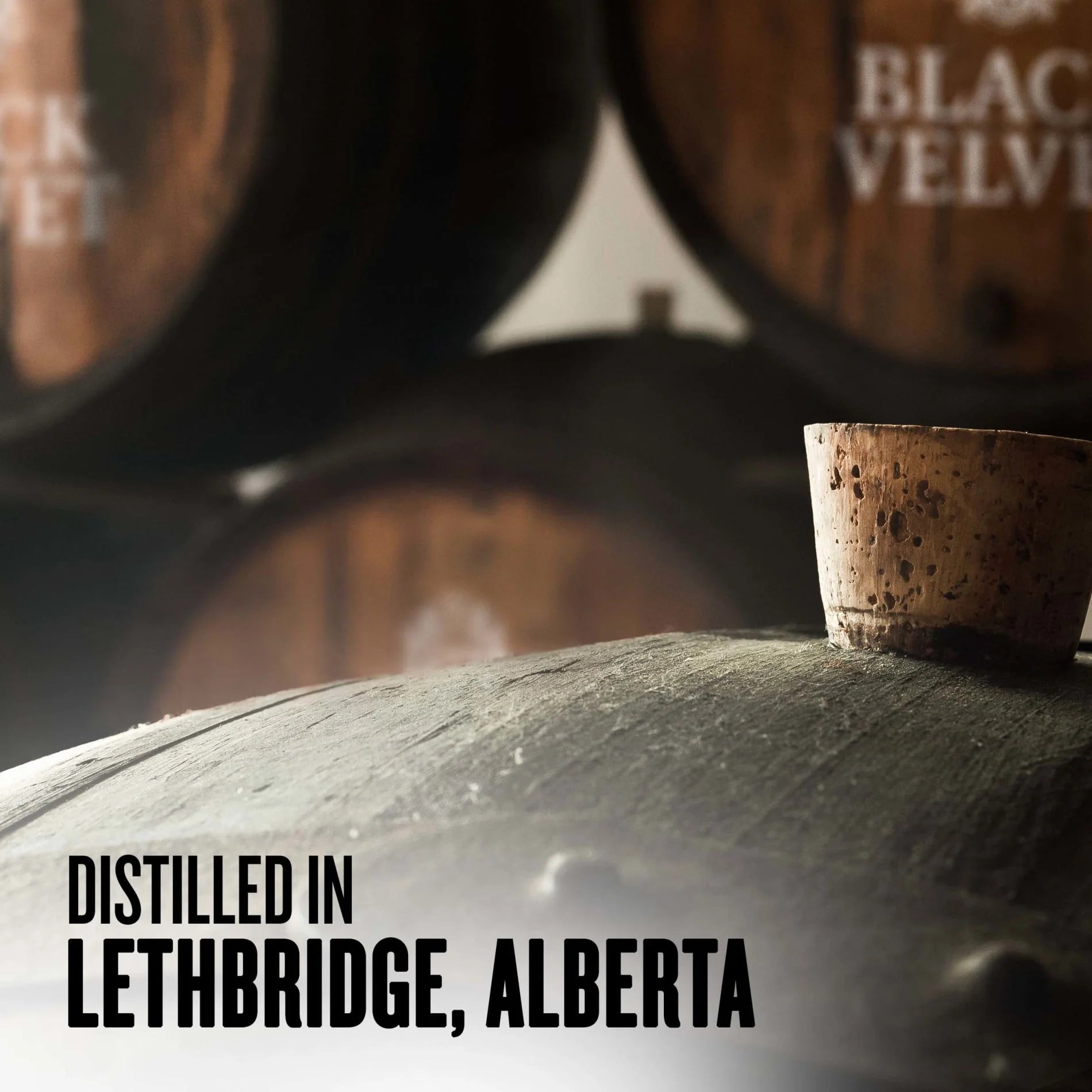 Black Velvet Canadian Whisky Aged 3 YR, 1.75 L PET Bottle, 40% ABV R65829