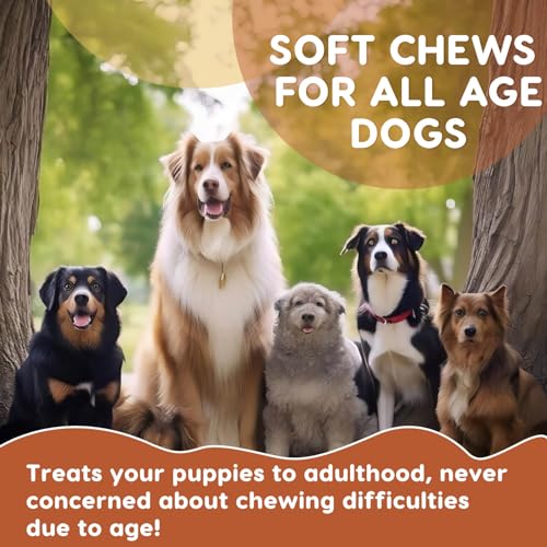120 Soft Chews Probiotics for Dogs X311544