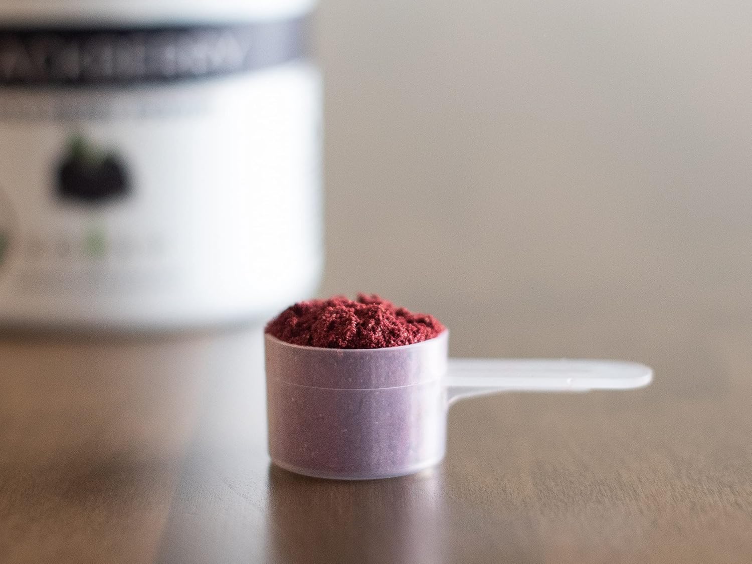 Organic Blackberry Powder O840