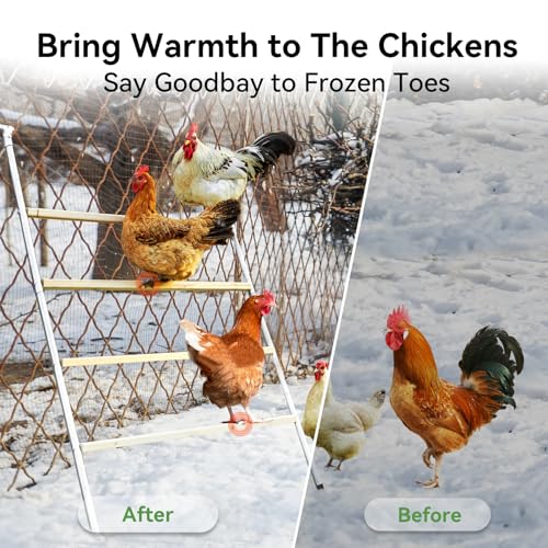 Chicken Coop Run with Anti-Rust Durable Steel, Large Walk-in Poultry Cage with Cover R58328
