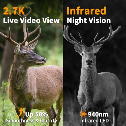 Cellular Trail Camera with Night Vision Motion Activated Waterproof IP66 S9454