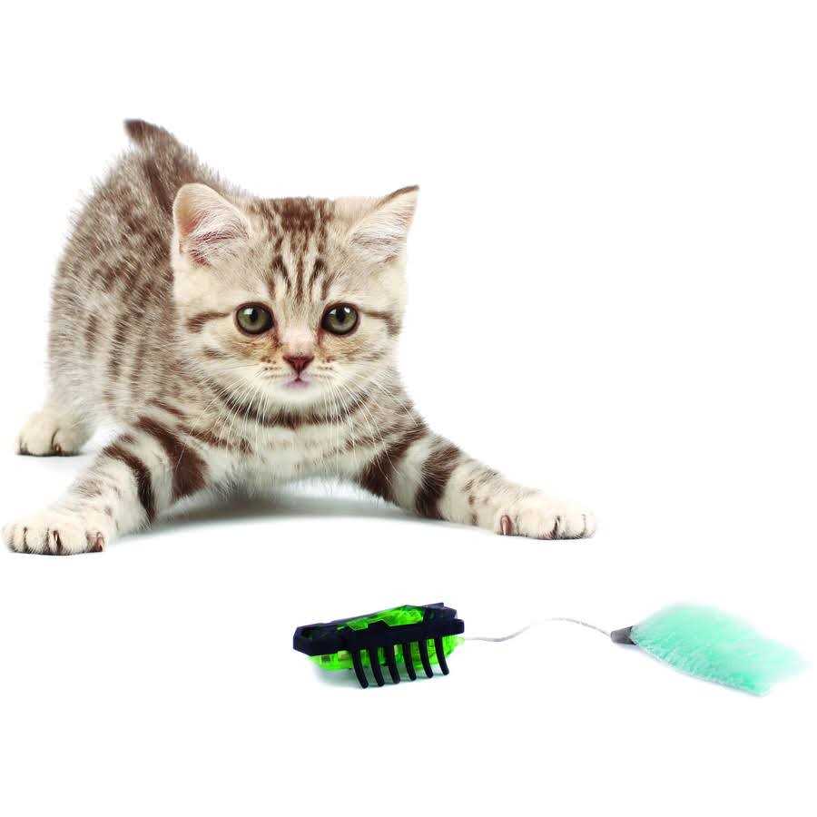 Robotic Cat Toy K1097