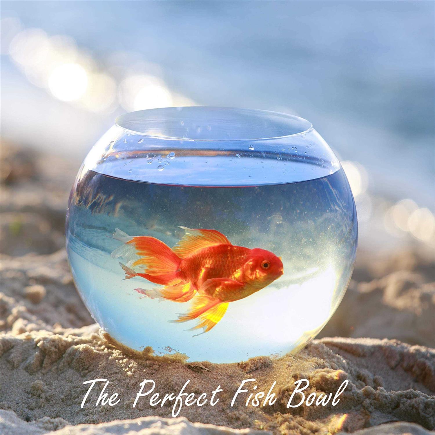 Glass Bubble Bowl G547