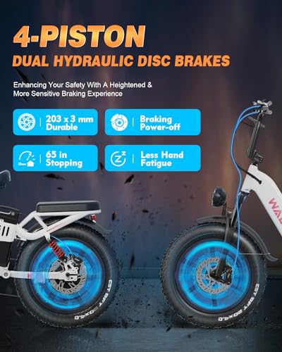20 Inch Fat Tire Full Suspension Electric Bike C676545
