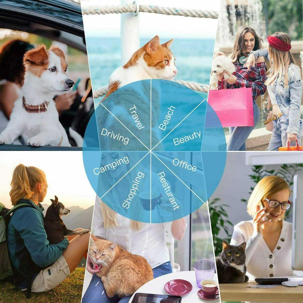 Airline Approved Expandable Soft-Sided Foldable Pet Carrier O343