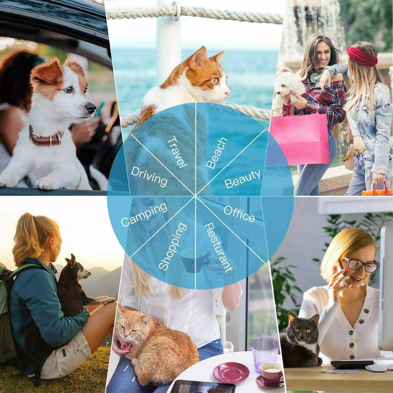 Airline Approved Expandable Soft-Sided Foldable Pet Carrier O343