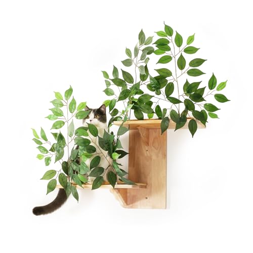 Cat Wall Shelves with Leaves, 2 Platform, Rubber Wood Wall Perch with Mat, Bridge J229356