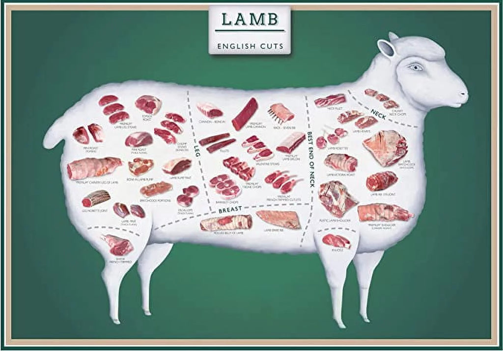 Laminated 24x36 Poster: Lamb Cuts Butcher Chart J461373