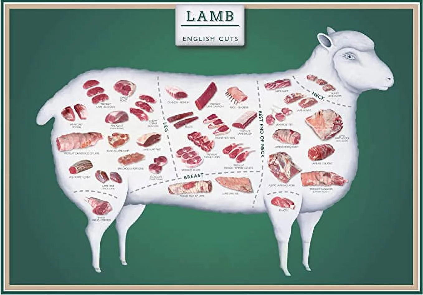 Laminated 24x36 Poster: Lamb Cuts Butcher Chart J461373
