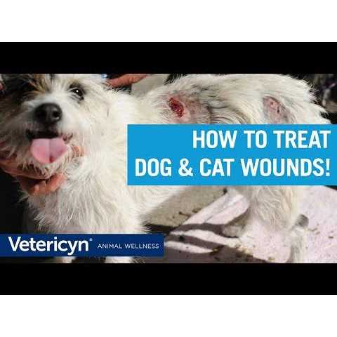 Wound & Skin Care T855