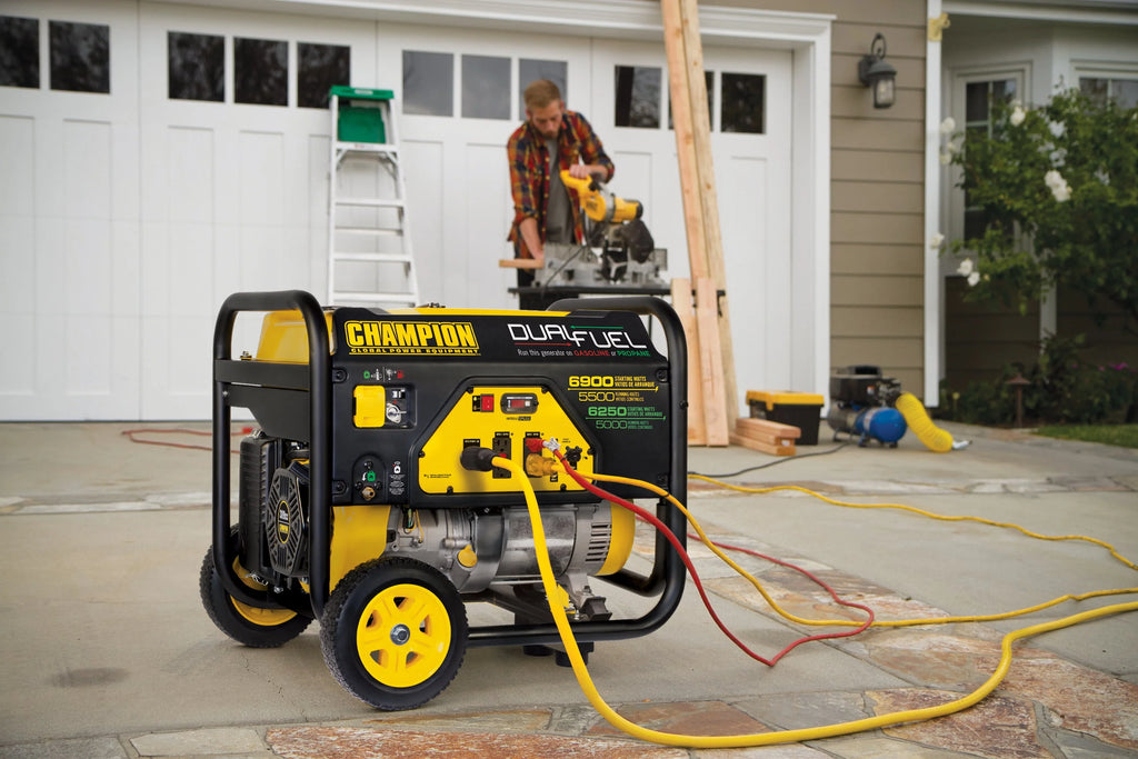 Dual Fuel Portable Generator with Wheel Kit F1725
