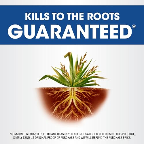 0.5 gal. Weed & Grass Killer C897090