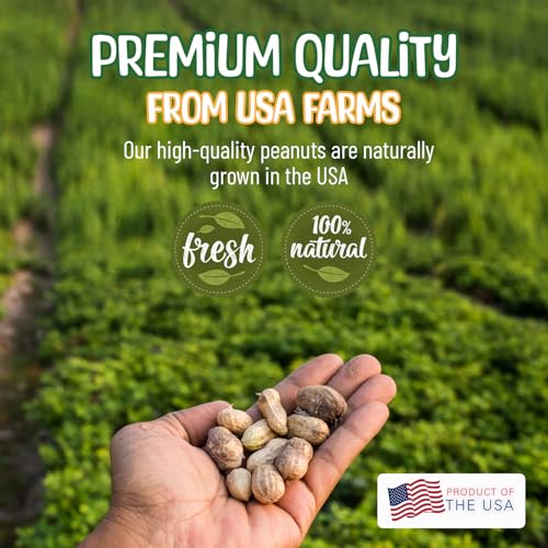 50 Pound Raw Peanuts in Shell H293