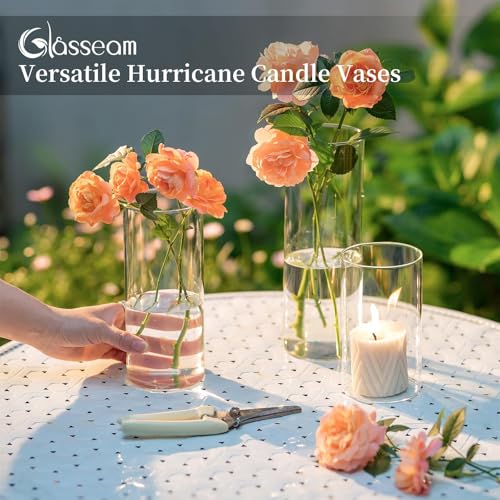 Glass Cylinder Vases Set of 12, Clear Flower Vase, 6in L219518