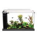 Freshwater Aquarium Kit with LED Lighting and 3-Stage Filtration V59672