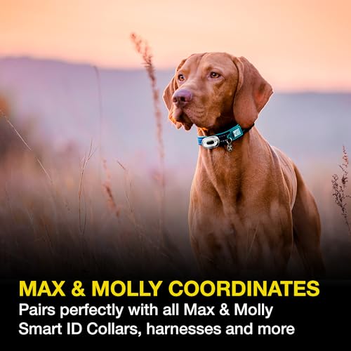Rechargeable LED Dog Collar Light - Waterproof Silicone Safety Light S3337