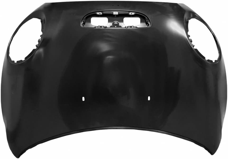 Hood Panel Assembly I666