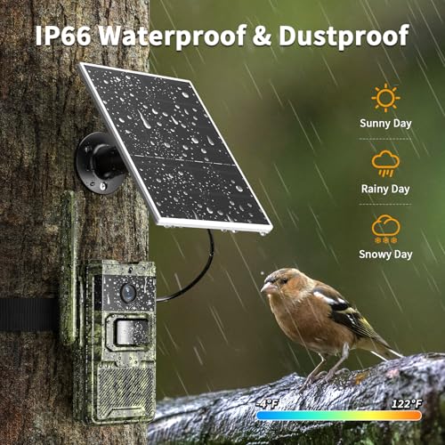 Cellular Trail Camera with Night Vision Motion Activated Waterproof IP66 S9454