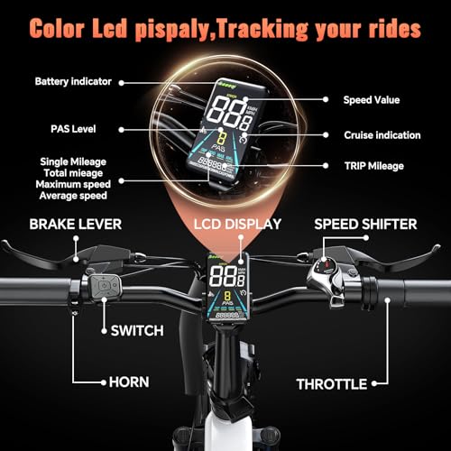 52v 20AH Full Suspension Electric Bike with 20"x 4.0 Fat Tire H909