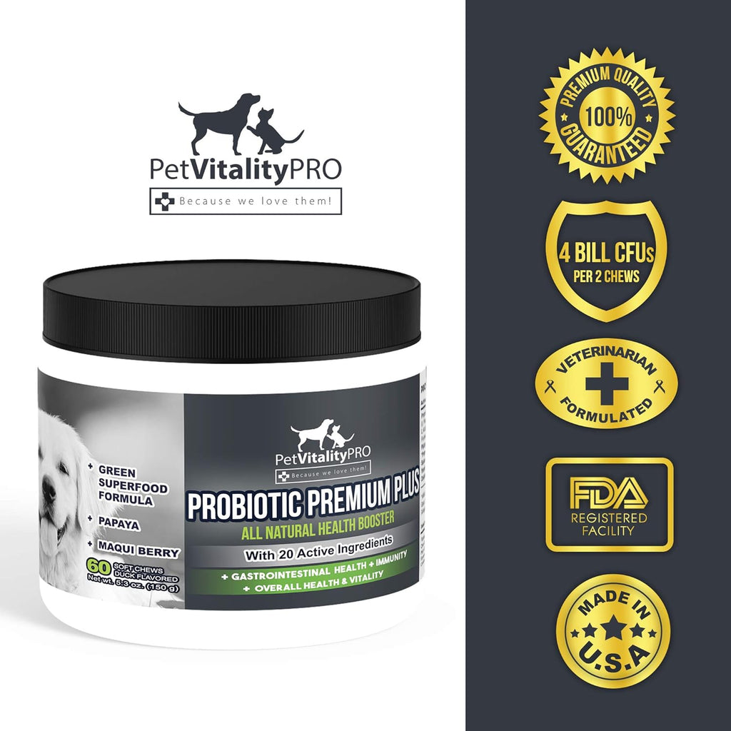 Probiotics for Dogs with Natural Digestive Enzymes, 4 Bill CFUs/2 Soft Chews, 60 Count X96885