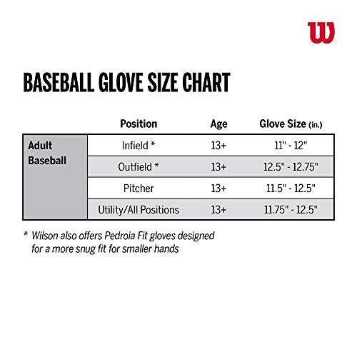 A2000 Baseball Glove U9527