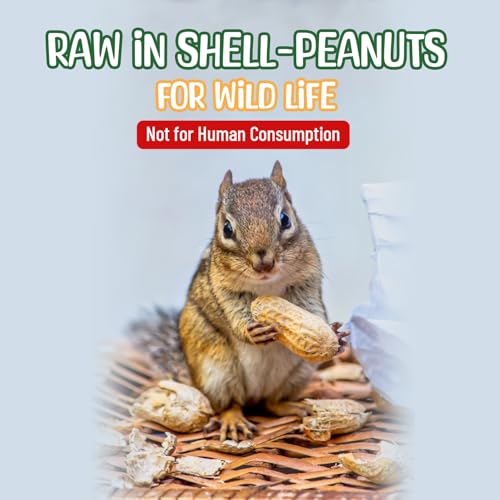 50 Pound Raw Peanuts in Shell H293
