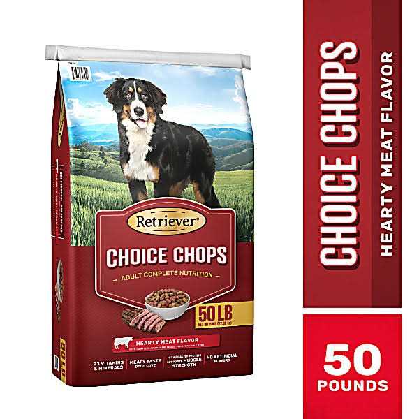 Adult Beef Recipe Dry Dog Food W98687