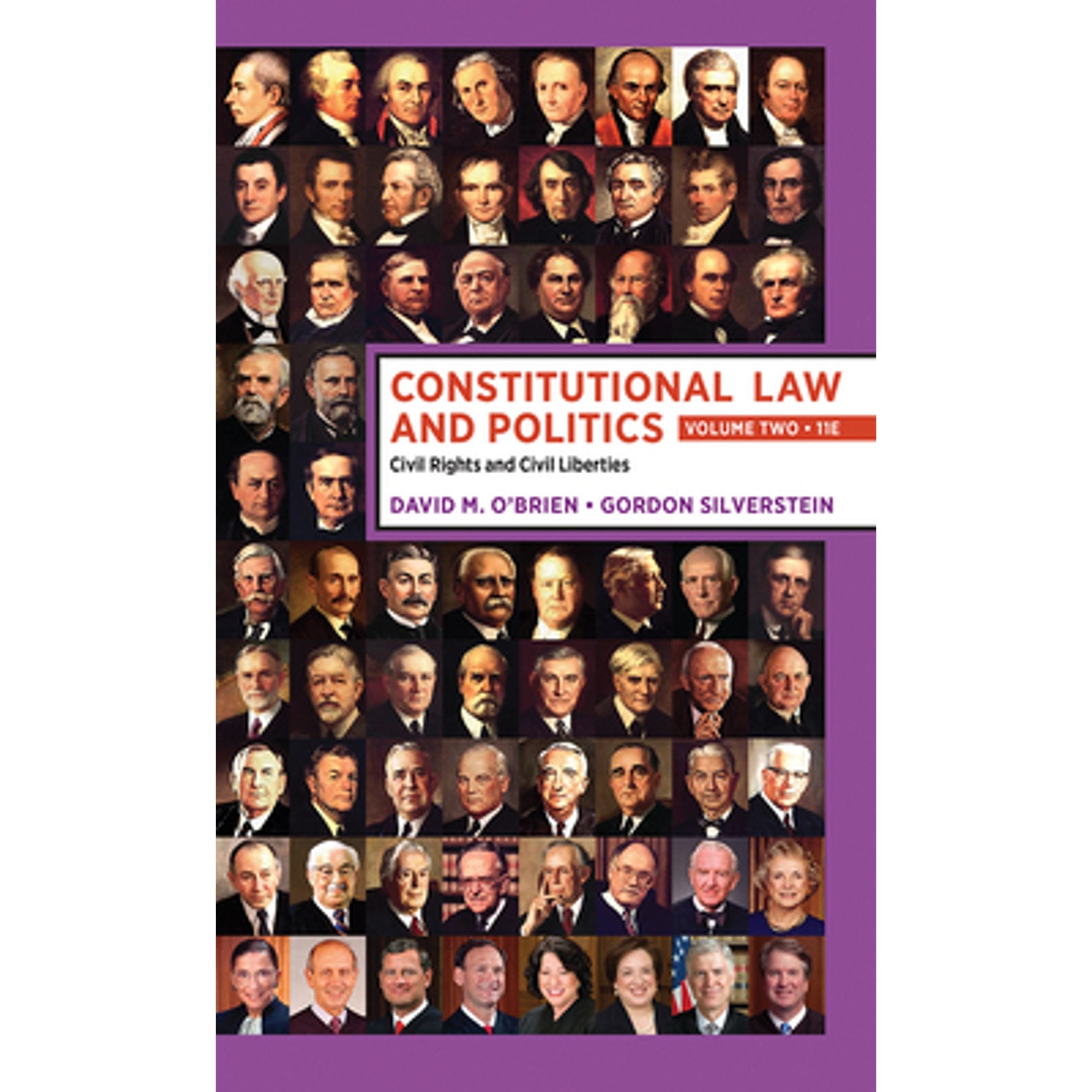 Constitutional Law and Politics: Volume 2: Civil Rights Liberties Paperback I6578