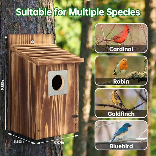 2 Pack Carbonized Wooden Bird Houses with Metal Predator Guard Y783