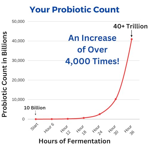 Probiotic Yogourt Maker H475