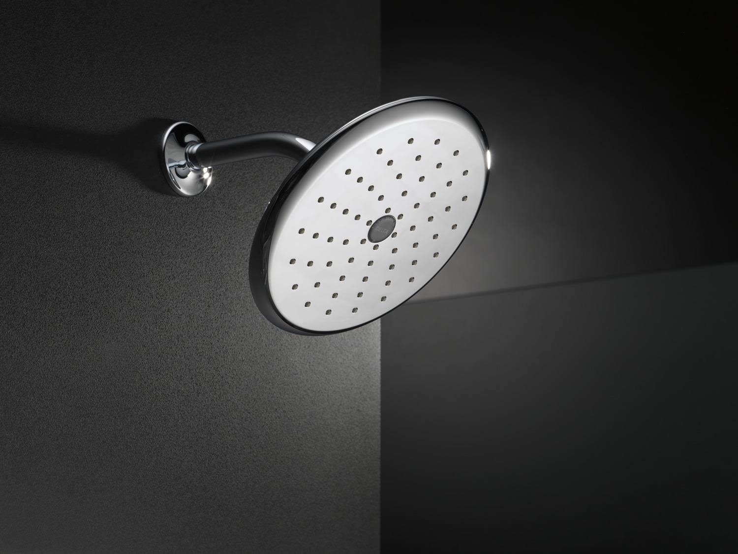 Polished Brass Single-Setting Shower Head E22524