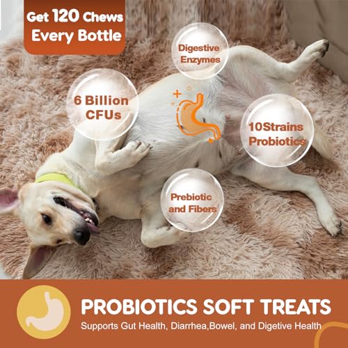 120 Soft Chews Probiotics for Dogs X311544