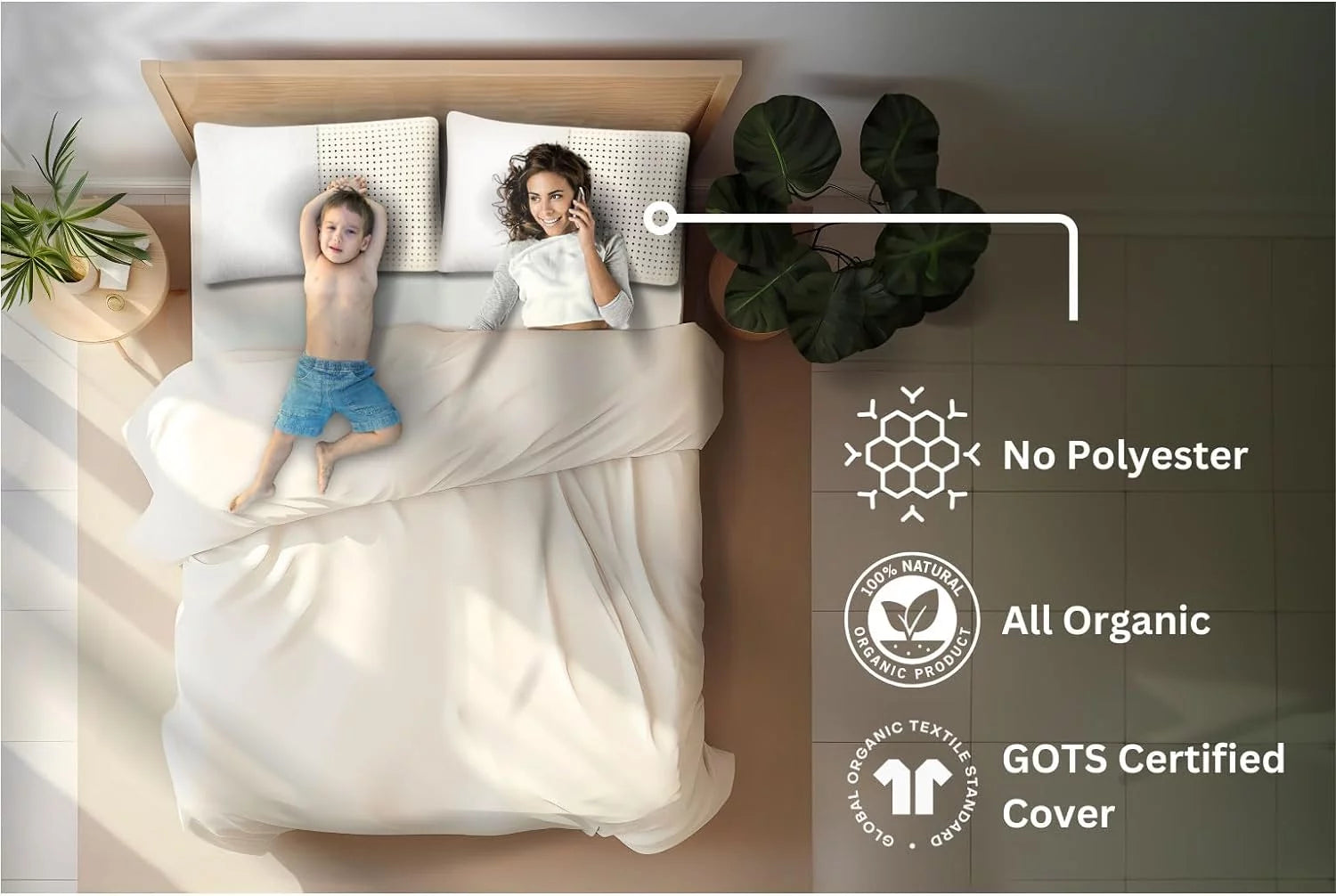 Medium Talalay Latex Pillow with Cotton Cover Q863859