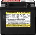 Automotive AGM Battery U155986