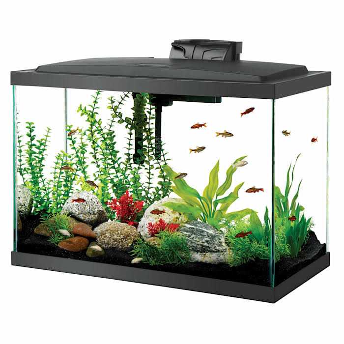 Standard Aquarium C430