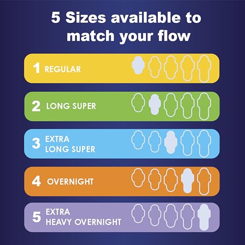 20 Count Heavy Overnight Maxi Pads with Wings B2495