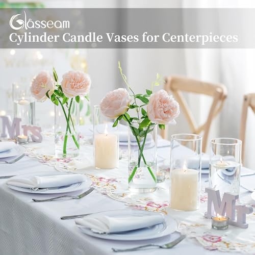 Glass Cylinder Vases Set of 12, Clear Flower Vase, 6in L219518