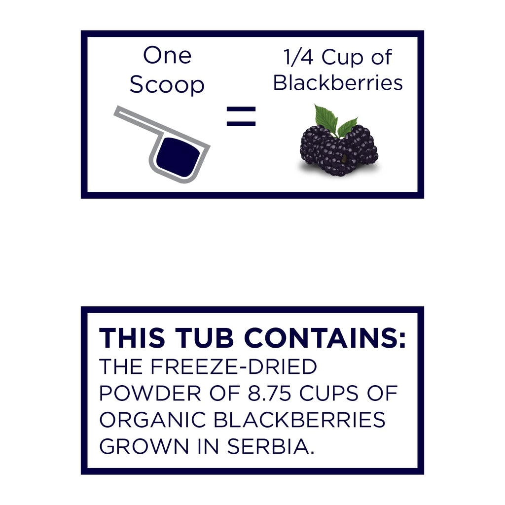 Organic Blackberry Powder O840