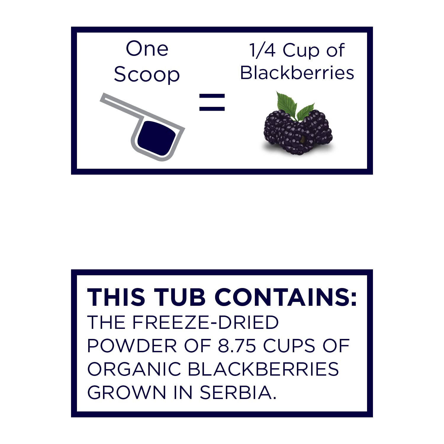 Organic Blackberry Powder O840