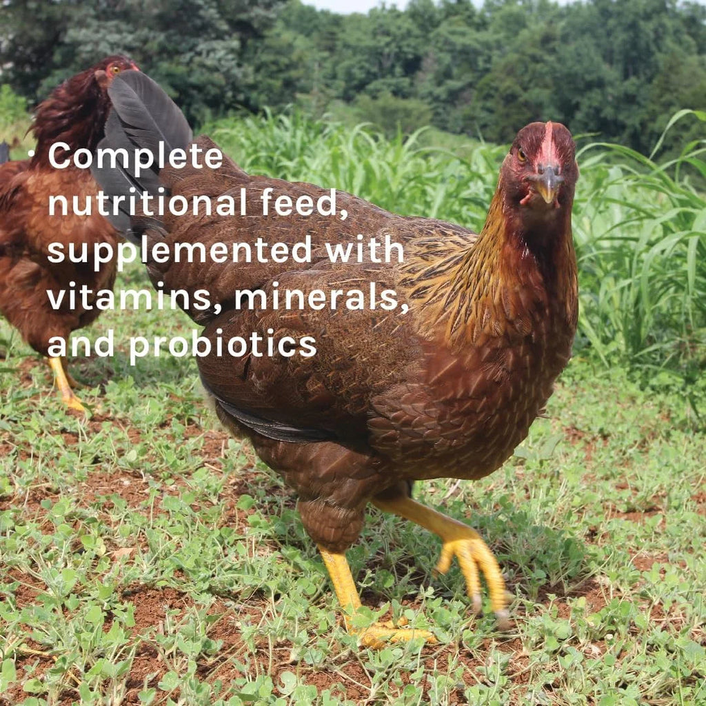 Corn-Free Soy-Free Organic Non-GMO 17% Protein Chicken Feed 25lb Bag A920