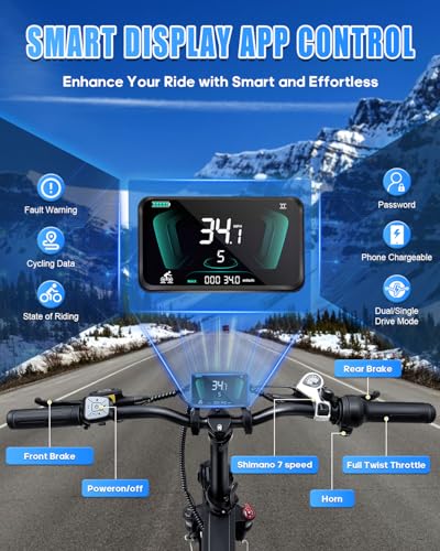 20" Fat Tire Folding Full Suspension Electric Bike P276