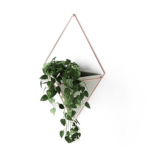 White-Nickel Wall Display Planter Pot M973790